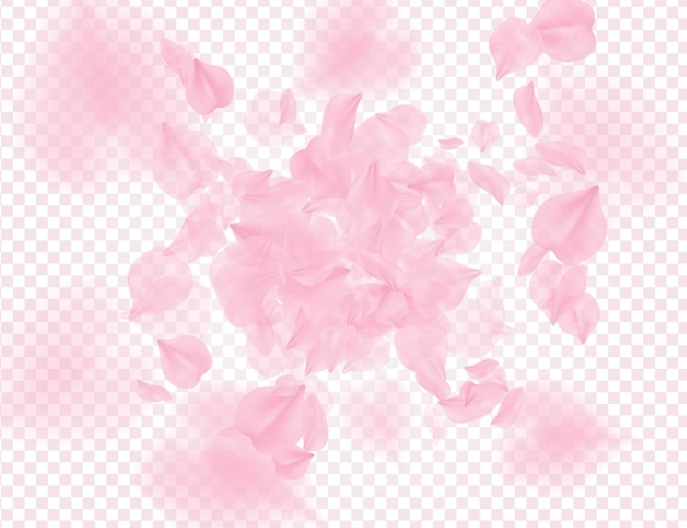 Vektor rosa rosenblätter fallen auf transparenten hintergrund vektor-overlay valentines hintergrund sakura