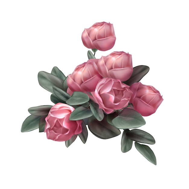 Vektor rosa rosenblumenanordnungsillustration
