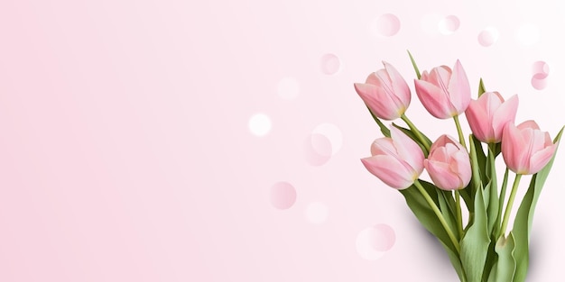 Rosa Tulpen auf einem rosa Hintergrund