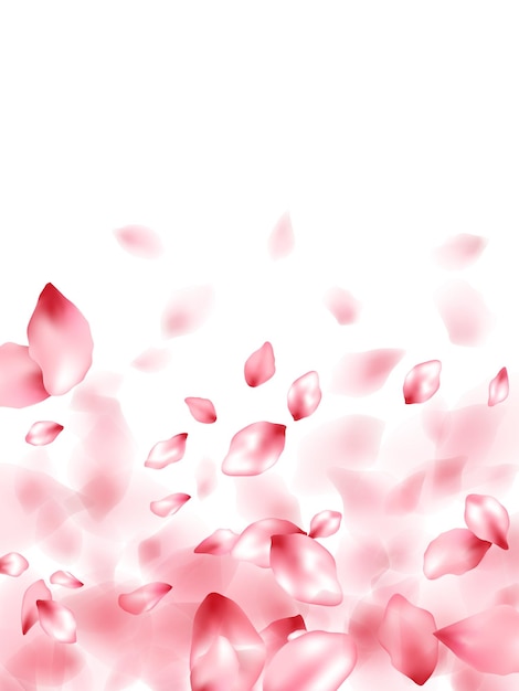 Rosafarbene sakura-blume fliegende blütenblätter isoliert auf weißem vektorhintergrund