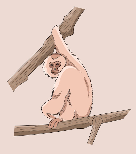 Rosafarbener kleiner schimpanse, der n den zweig sitzt