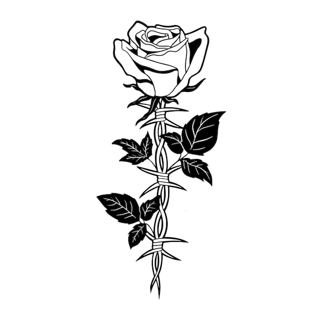 Rose und stacheldraht-handzeichnungs-illustration