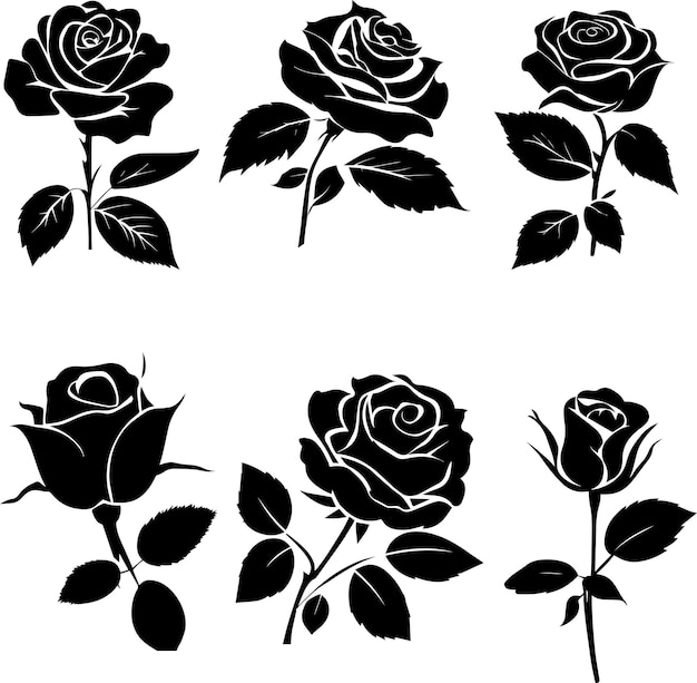 Vektor rose vector silhouette illustration schwarze farbgruppe von set 2