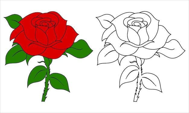 Rosenblumenillustration mit handgezeichneter schwarzer farbe umrissene strichzeichnungen zum ausmalen von seiten für kinder