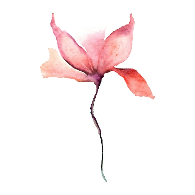 Rote Blume Mohn Aquarell florale Illustrationskunst für Tapete Dekoratives Element mit Blumen Vector floral background