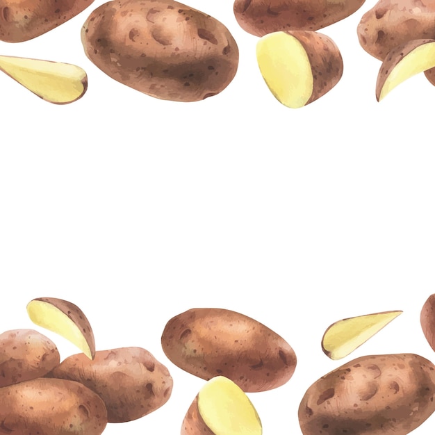 Rote Kartoffeln ganz halb geschnitten geschält und Keile Aquarell handgezeichnete Illustration auf dem Thema