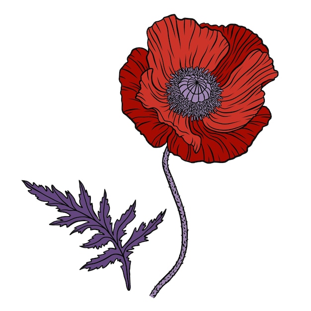 Rote Mohnblume Papaver Stamm- und Blattelemente für das Design des Anzac-Tages Handgezeichnete Linie Kunstskizze Vektorillustration isoliert auf weißem Hintergrund