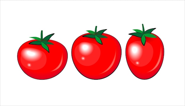 Vektor rote tomatenvektorillustration in unterschiedlicher form