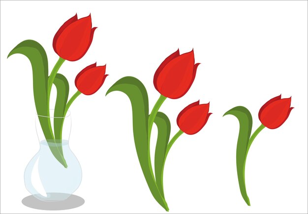 Rote tulpen in der vasenvektorillustration.