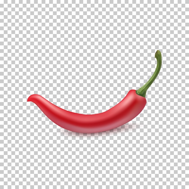 Roter chili. für ihre projekte.