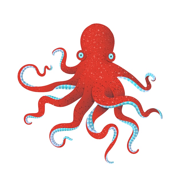 Roter oktopus