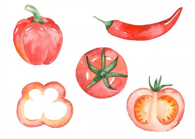 Rotes gemüse im aquarellstil