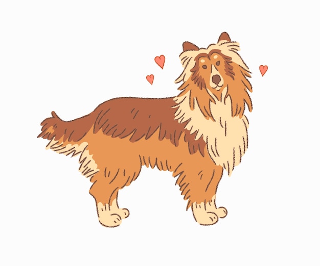 Rough collie hund cartoon auf weißem hintergrund