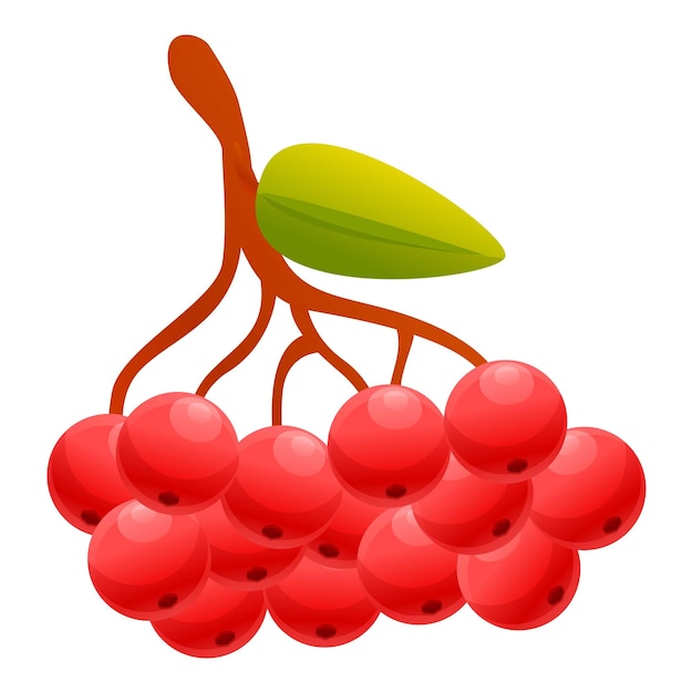 Rowan-sorbus-symbol cartoon des rowan-sorbus-vektorsymbols für webdesign isoliert auf weißem hintergrund