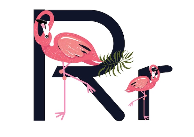 Vektor rr flamingos