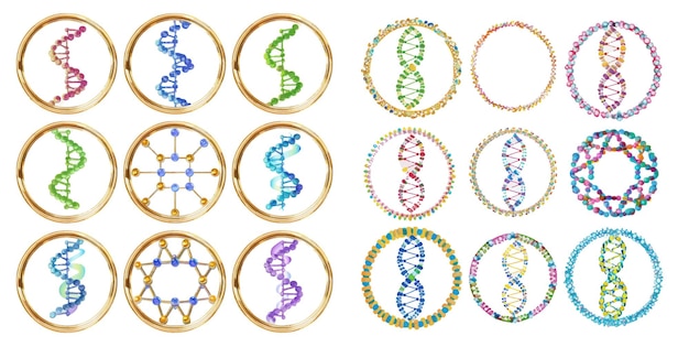 Vektor runde dna-rahmen