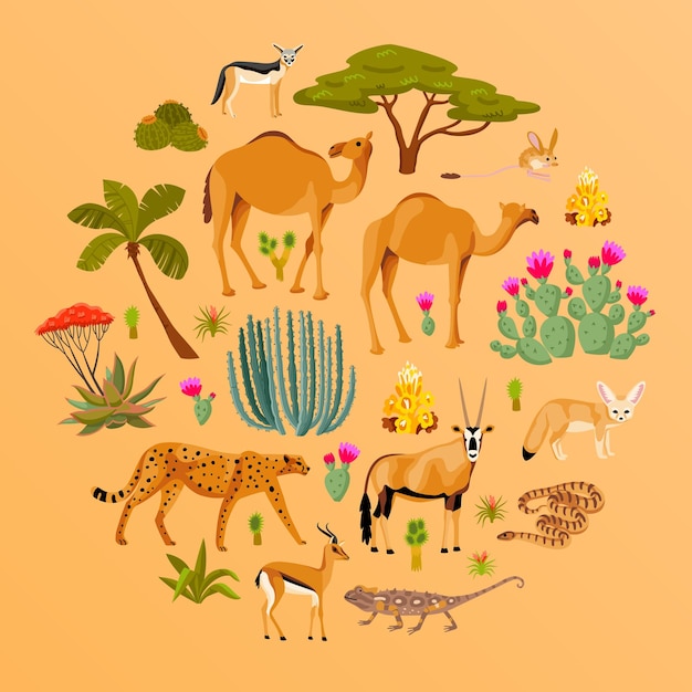 Runde Zusammensetzung der Wüste mit Karikaturvertretern von Flora und Fauna auf flacher Vektorillustration des gelben Hintergrundes