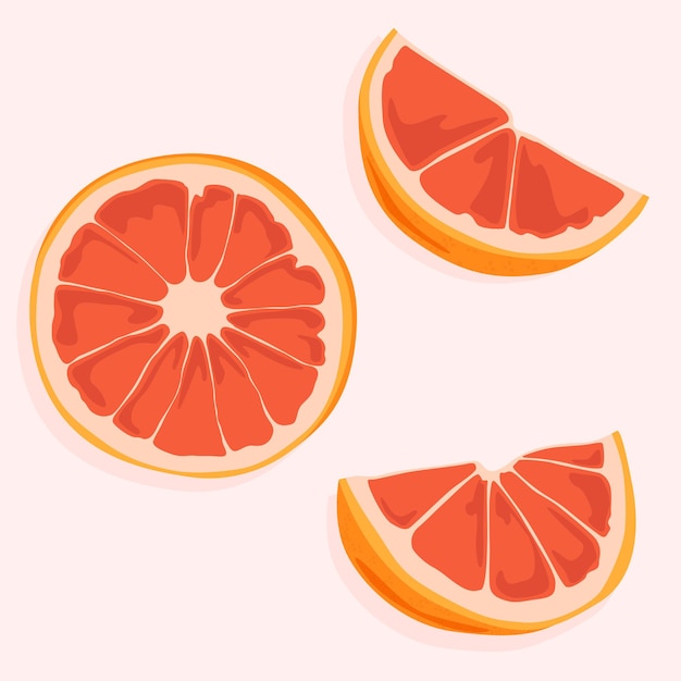 Runder schnitt einer grapefruit und ihrer segmente. gesunde früchte und naturprodukte. lebensmittelsymbole