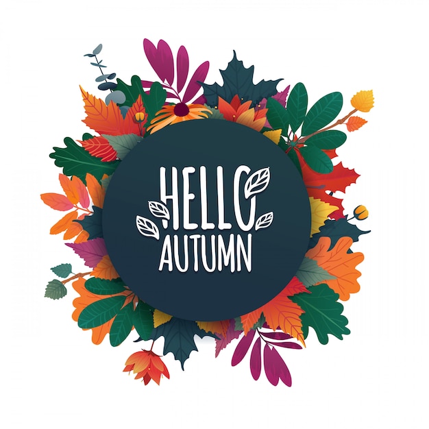 Rundes Banner mit dem Hello Autumn Logo. Karte für Herbstsaison mit weißem Rahmen und Kraut. Vektor