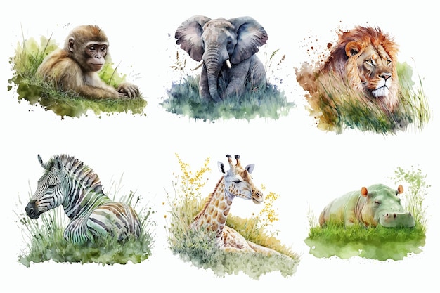 Safari animal set nilpferd löwe zebra elefant giraffe affe sitzen im gras im aquarellstil isolierte vektorillustration