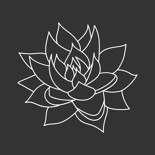 Saftige echeveria im doodle-stil, vektorgrafik, seitenansicht der wüstenblume zum ausdrucken