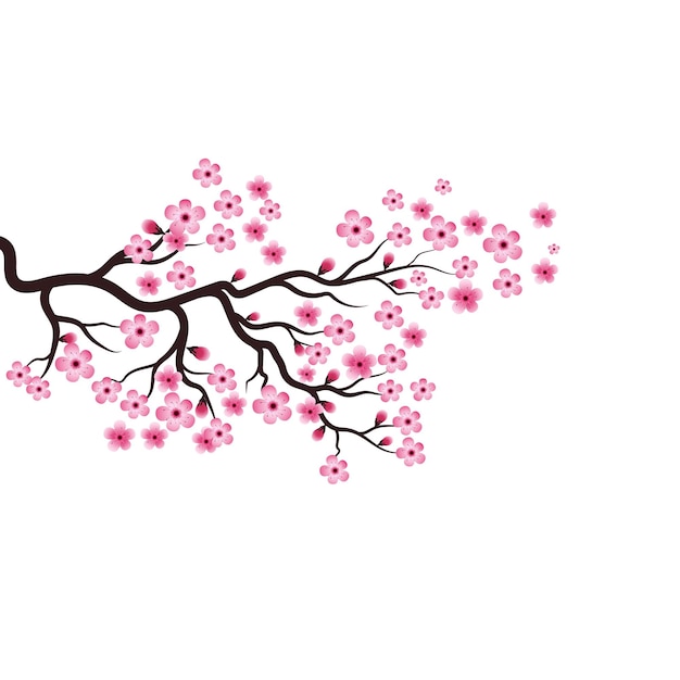 Sakura beauty blume vektor-symbol