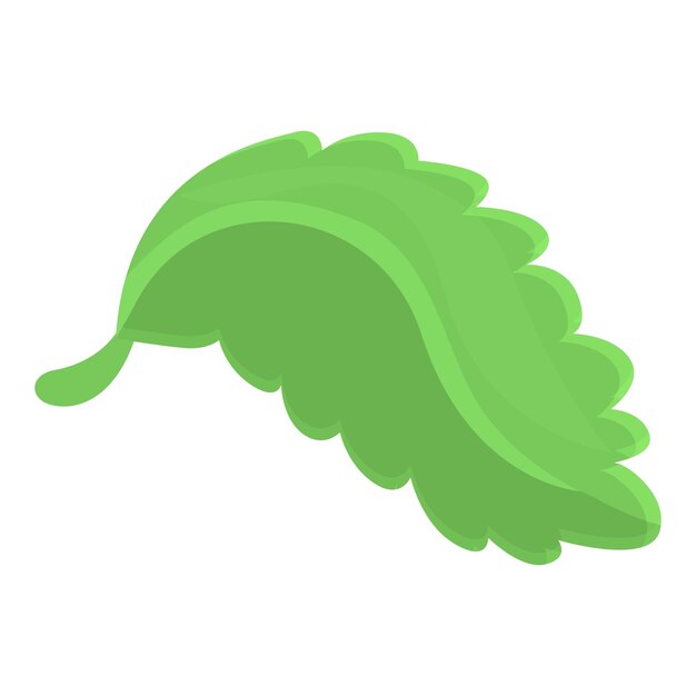Vektor salatblatt-symbol cartoon eines salatblatt-vektorsymbols für webdesign isoliert auf weißem hintergrund