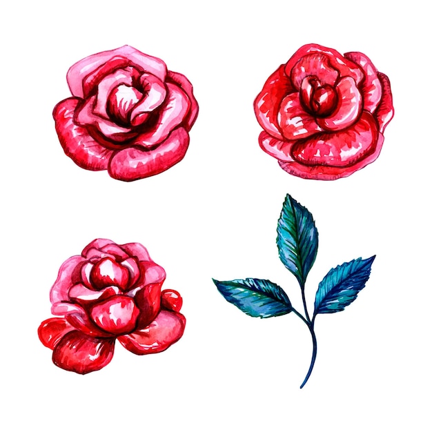 Sammlung aquarellillustration des niedlichen rosenblumen-hochzeitsdekors