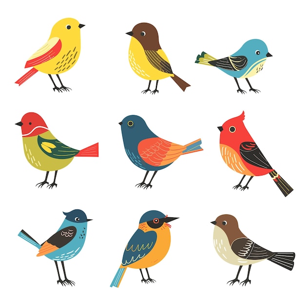 Sammlung farbenfroher Vogelillustrationen verschiedener Arten im Cartoon-Stil