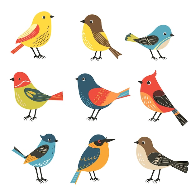Sammlung farbenfroher Vogelillustrationen verschiedener Arten im Cartoon-Stil