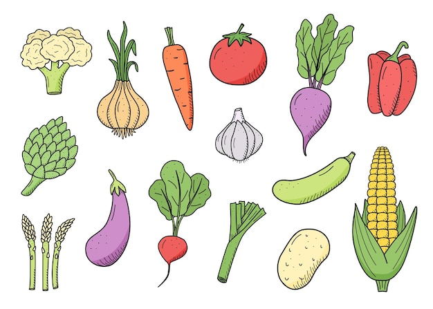 Sammlung farbiger Gemüsezeichnungen im Doodle-Stil. Eine Reihe von Vektorillustrationen der Ernte von Mais, Kartoffeln, Karotten, Radieschen, Rüben, Knoblauch, Zwiebeln, Tomaten usw