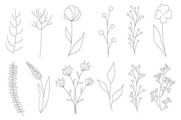 Vektor sammlung minimalistischer einfacher floraler elemente. grafische skizze. modisches tattoo-design. blumen, gras und blätter. botanische naturelemente. vektor-illustration. umriss, linie, doodle-stil.