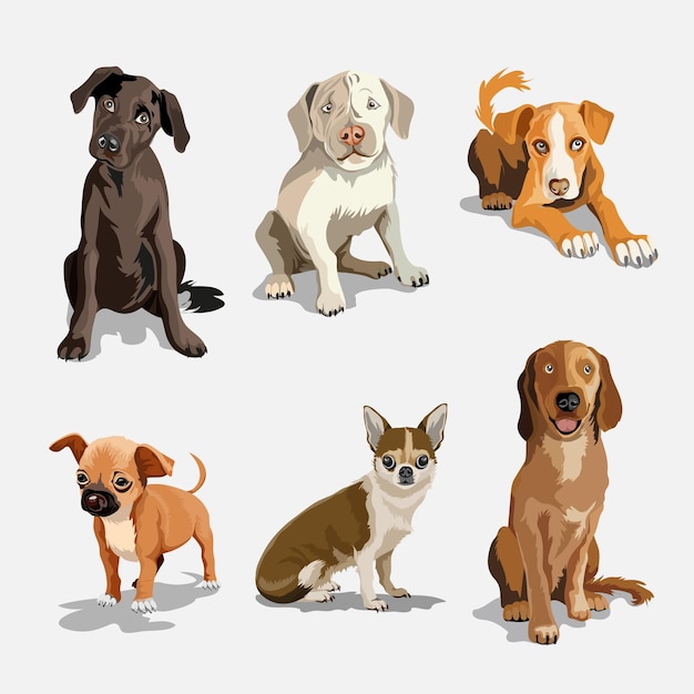 Sammlung mit niedlichen Hunden verschiedener Rassen Satz von lustigen Hunden auf weißem Hintergrund Pelzige menschliche Freunde Heimtiere