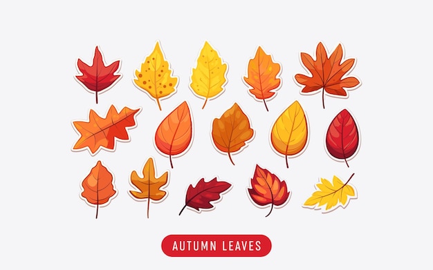 Sammlung schöner farbenfroher Herbstblätter, die auf weißem Hintergrund isoliert sind