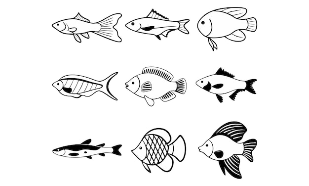 Sammlung verschiedener Fischzeichnungen in Schwarz-Weiß