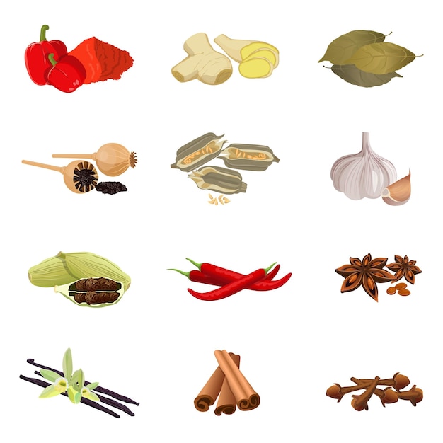 Vektor sammlung von aromatischen kräutern roter paprika, ingwerwurzel, lorbeerblätter, trockener mohn, sesam, knoblauchzehe, roter pfeffer, anisstern, vanillesticks mit orchideenblüte, zimt realistisch