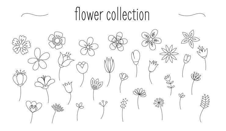 Sammlung von Blumen- und Blattzeichnungen
