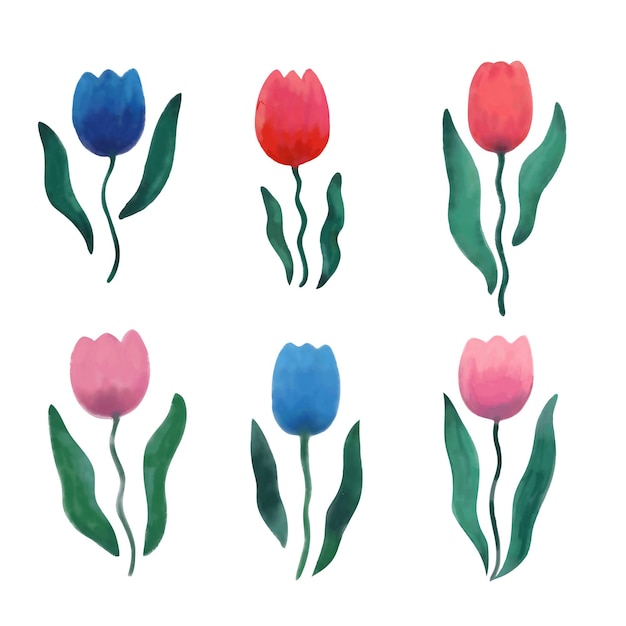 Sammlung von frühlingstulpenblumen. aquarellillustration. vektorillustration