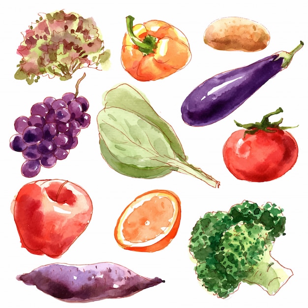 Sammlung von Gemüse.