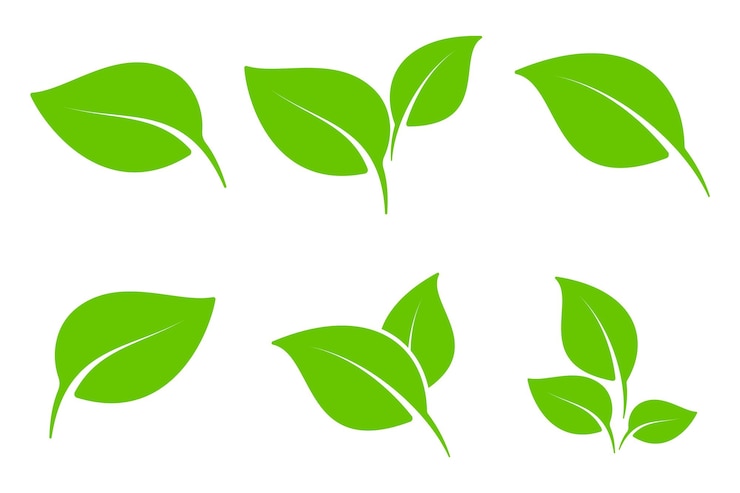 Vektor sammlung von grünen blattelementen für natürliche öko-bio-vegan-etiketten