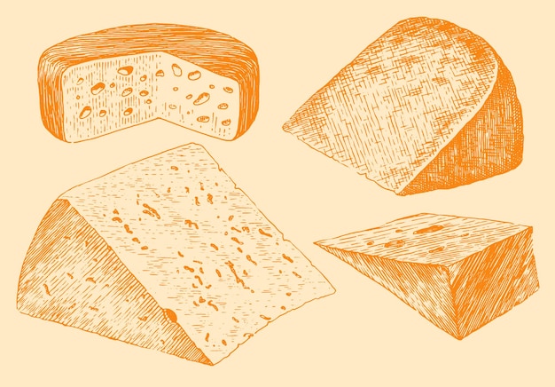 Sammlung von Hand gezeichnet Käse