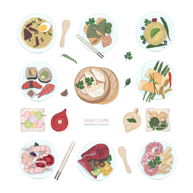 Sammlung von Hand gezeichneten bunten Gerichten der asiatischen Küche lokalisiert auf weißem Hintergrund. Köstliche Mahlzeiten und Snacks, traditionelles Essen aus Asien - Ramen-Nudeln, Knödel, Sushi. Vektor-Illustration.