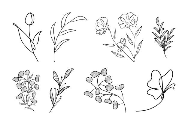 Sammlung von handgezeichneten botanischen Blumen, Linienkunst, Vektor, Sammlung von Blättern, Blattzweigen, Blumen