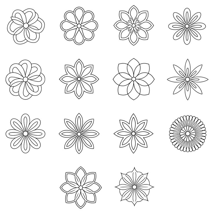 Sammlung von handgezeichneten floralen und botanischen Elementen