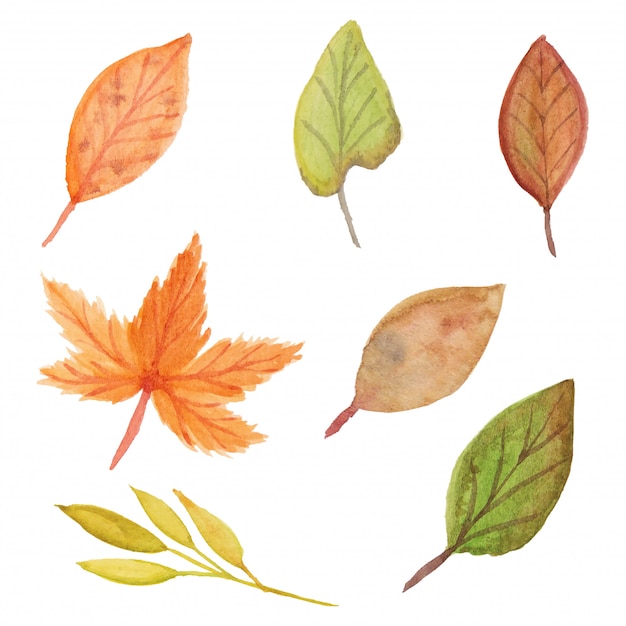 Sammlung von Herbstaquarellblatt