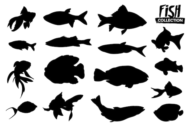 Sammlung von isolierten Fischschattenbildern. Grafische Ressourcen.