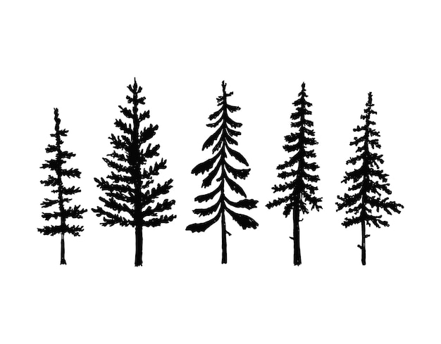 Sammlung von Kiefernbaum-Silhouetten Vektor isoliert