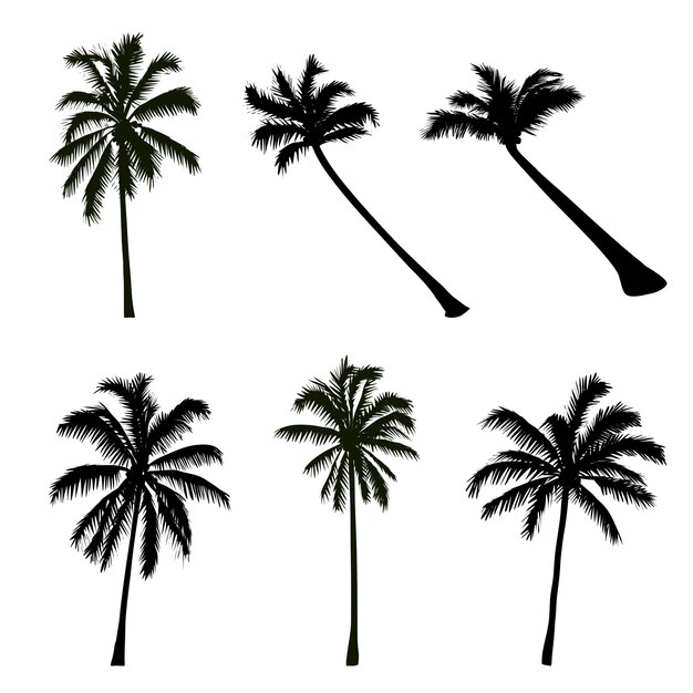 Sammlung von Kokosnuss-Silhouetten