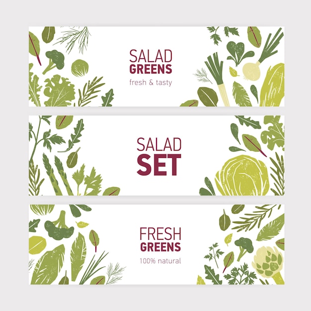 Vektor sammlung von modernen web-banner-vorlagen mit grünem gemüse, frischen salatblättern und gewürzkräutern auf weiß
