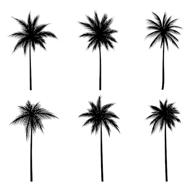 Vektor sammlung von palmen- und kokosnuss-silhouetten